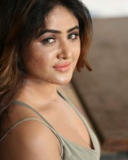 Actress Sony Charishta Sexy Pictures