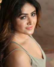 Actress Sony Charishta Sexy Pictures