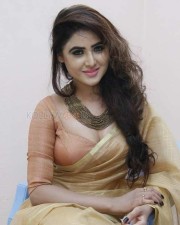 Actress Sony Charishta Sexy Spicy Photos