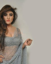 Actress Sony Charishta Sexy Spicy Photos