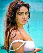 Actress Sony Charishta Wet Hot Photos
