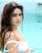 Actress Sony Charishta Wet Hot Photos