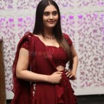 Surbhi 18 Actress Surbhi at Sashi Pre Release Event Photos