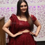 Surbhi 17 Actress Surbhi at Sashi Pre Release Event Photos