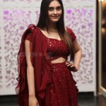 Surbhi 16 Actress Surbhi at Sashi Pre Release Event Photos