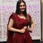 Surbhi 15 Actress Surbhi at Sashi Pre Release Event Photos