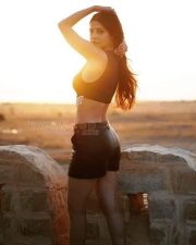 Actress Vedhika Kumar Sexy Sunset Photoshoot Stills 03