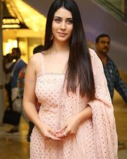 Actress Warina Hussain at GodFather Success Celebration Event Photos 11