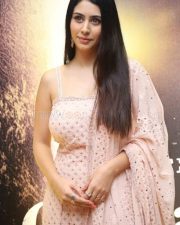 Actress Warina Hussain at GodFather Success Celebration Event Photos 13