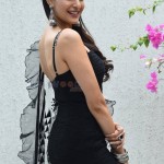 Akhanda Actress Pragya Jaiswal Latest Photoshoot Pictures 17 Akhanda Actress Pragya Jaiswal Latest Photoshoot Pictures 17