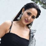 Akhanda Actress Pragya Jaiswal Latest Photoshoot Pictures 31 Akhanda Actress Pragya Jaiswal Latest Photoshoot Pictures 31