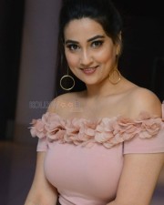 Anchor Manjusha At Disco Raja Success Meet Pictures
