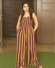 Anchor Manjusha At Gaddalakonda Ganesh Success Meet Pictures