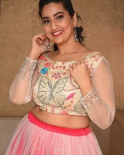 Anchor Manjusha At Pressure Cooker Movie Pre Release Event Stills