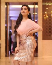 Anchor Manjusha at Guduputani Movie Pre Release Event Pictures 02 Anchor Manjusha at Guduputani Movie Pre Release Event Pictures 02