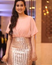 Anchor Manjusha at Guduputani Movie Pre Release Event Pictures 06