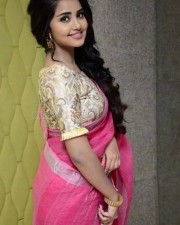 Anupama Parameshwaran Pink Saree Photos