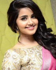 Anupama Parameshwaran Pink Saree Photos