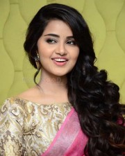 Anupama Parameshwaran Pink Saree Photos