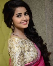 Anupama Parameshwaran Pink Saree Photos