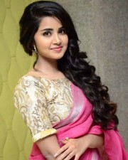 Anupama Parameshwaran Pink Saree Photos