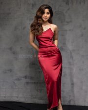 Appealing Kashmira Pardeshi in a Red Backless Full Length Dress Photos 02