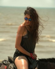 Pragya Jaiswal 30 Asura Vamsam Actress Pragya Jaiswal Hot Pictures