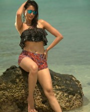 Pragya Jaiswal 24 Asura Vamsam Actress Pragya Jaiswal Hot Pictures