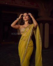Attractive Nabha Natesh in a Yellow Netted Saree with a Corset Blouse Pictures 01