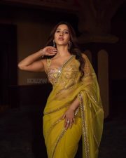 Attractive Nabha Natesh in a Yellow Netted Saree with a Corset Blouse Pictures 03