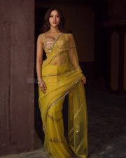 Attractive Nabha Natesh in a Yellow Netted Saree with a Corset Blouse Pictures 04