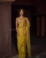 Attractive Nabha Natesh in a Yellow Netted Saree with a Corset Blouse Pictures 06