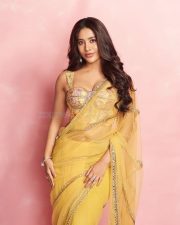 Attractive Nabha Natesh in a Yellow Netted Saree with a Corset Blouse Pictures 07