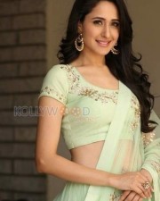 Beautiful Actress Pragya Jaiswal New Photos