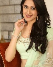 Beautiful Actress Pragya Jaiswal New Photos