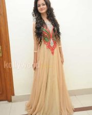 Beautiful Actress Shanvi Pictures