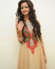 Beautiful Actress Shanvi Pictures