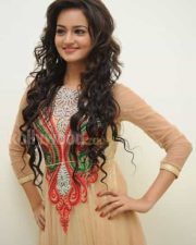 Beautiful Actress Shanvi Pictures