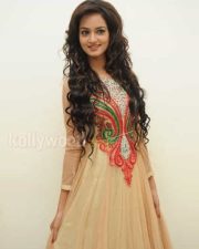 Beautiful Actress Shanvi Pictures