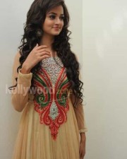Beautiful Actress Shanvi Pictures