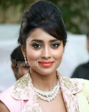 Beautiful Actress Shriya Saran Pictures