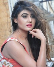 Beautiful And Sexy Sony Charishta Pictures