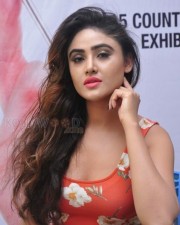 Beautiful And Sexy Sony Charishta Pictures