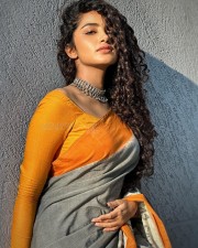 Beautiful Anupama Parameswaran in a Grey Pochampally Saree Photos 01