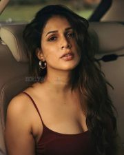 Beautiful Lavanya Tripathi Seductive Pose 01