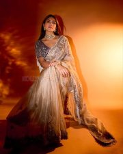 Beautiful Mrunal Thakur in a Gold Tissue Saree with Scalloped Borders with an Embroidered Silk Blouse Photos 01
