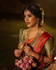 Beautiful Nabha Natesh Ethnic Saree Photoshoot Pictures 02