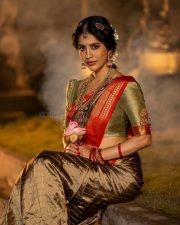 Beautiful Nabha Natesh Ethnic Saree Photoshoot Pictures 03