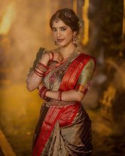 Beautiful Nabha Natesh Ethnic Saree Photoshoot Pictures 06