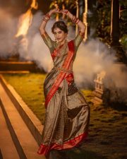 Beautiful Nabha Natesh Ethnic Saree Photoshoot Pictures 08